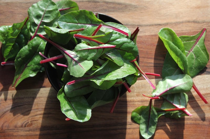 Fresh Salads